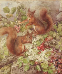 Red Squirrels Gathering Fruits and Nuts